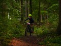 RSR26_Trailfoxy-013
