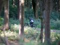 RSR26_Trailfoxy-088