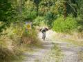 RSR26_Trailfoxy-166