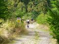 RSR26_Trailfoxy-167