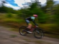 RSR26_Trailfoxy-189