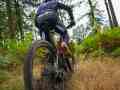 RSR26_Trailfoxy-218