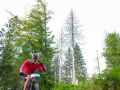 RSR26_Trailfoxy-246