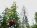 RSR26_Trailfoxy-248