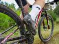 RSR26_Trailfoxy-249