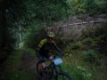 RSR26_Trailfoxy-256