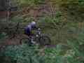 RSR26_Trailfoxy-263