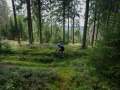 RSR26_Trailfoxy-278