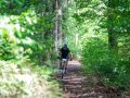 RSR26_Trailfoxy-377