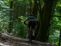 RSR26_Trailfoxy-384