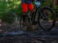 RSR26_Trailfoxy-401
