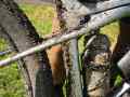 RSR26_Trailfoxy-558
