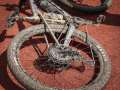 RSR26_Trailfoxy-561