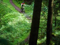 787-W2P03762-03772371-w2photo