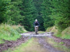 803-W2P03878-03772371-w2photo