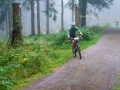 0410-W2P02331-03772371_HD_w2photo
