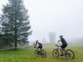 0536-W2P02953-03772371_HD_w2photo