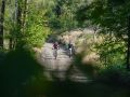 DSC01458-1