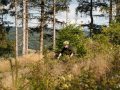 DSC01696-1
