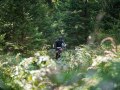 DSC01980